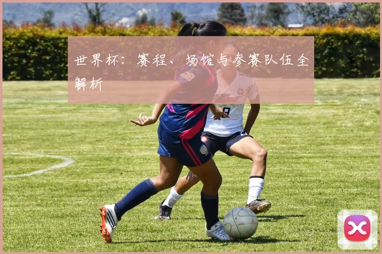 世界杯：赛程、场馆与参赛队伍全解析