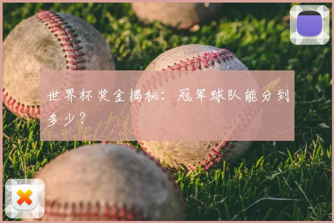 世界杯奖金揭秘：冠军球队能分到多少？