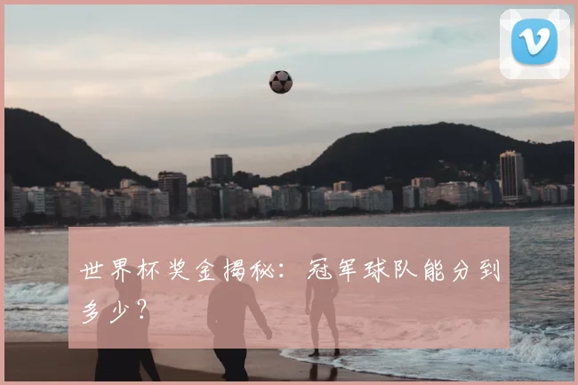 世界杯奖金揭秘：冠军球队能分到多少？