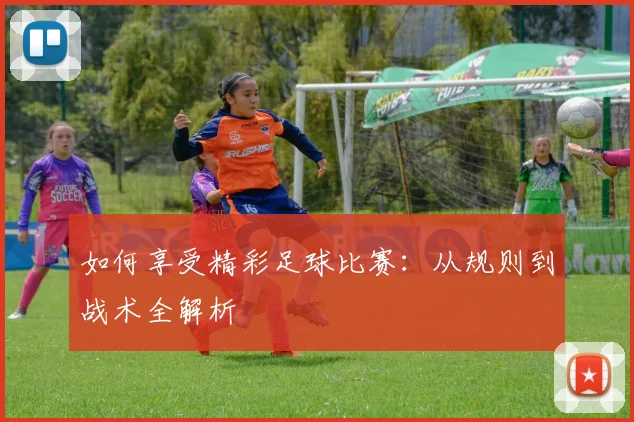 如何享受精彩足球比赛：从规则到战术全解析